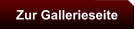 Zur Gallerieseite