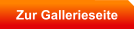 Zur Gallerieseite
